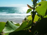 /album/photography/nesian-picture-8-copy-jpg/